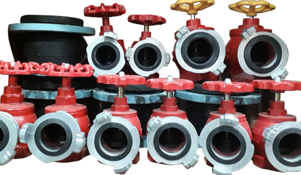 Họng chữa cháy vách tường D50, D65